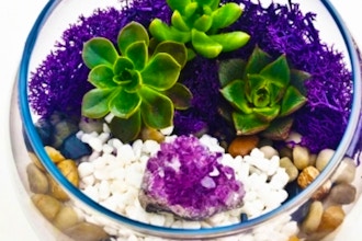 Plant Nite: Natural Stones with Amethyst in Rose Bowl